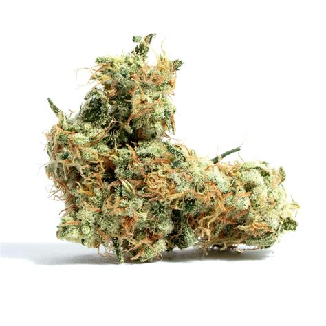 Get details and read the latest customer reviews about Apple Fritter by Kings Garden on Leafly. . Apple fritter leafly
